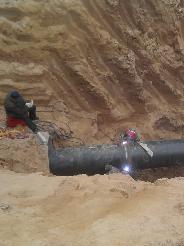 正能量奖励网站入口